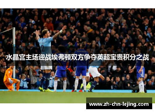 水晶宫主场迎战埃弗顿双方争夺英超宝贵积分之战